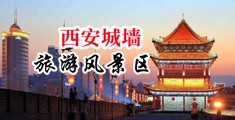羞羞答答影视青苹果中国陕西-西安城墙旅游风景区
